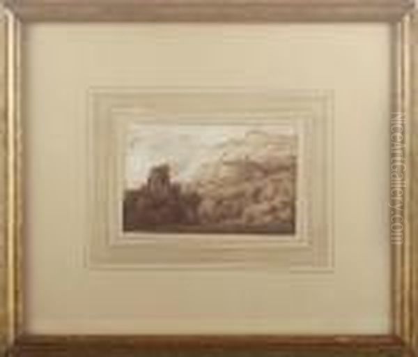 Landscape - view 1