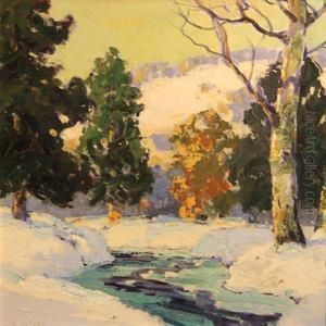 Stream Through A Forest In Winter Stream Through A Forest In Winter
