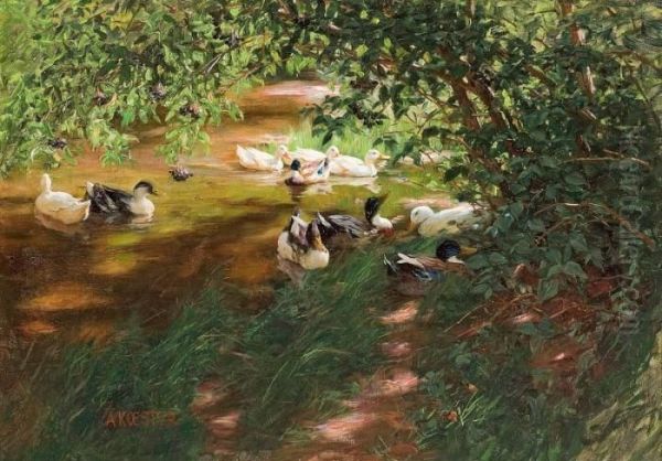 Ducks On The Water - view 1