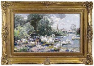 Enten In Landschaft Mit Fischerhutten