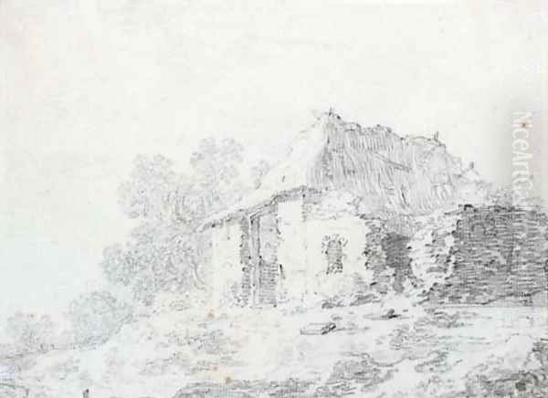 A cottage by a copse - view 1