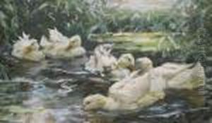 Enten Im Schilfteich by Alexander Max Koester