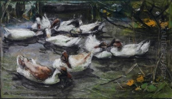 Neun Weisse Enten Im Wasser - view 1