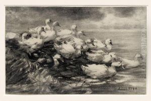 Enten Am Seeufer