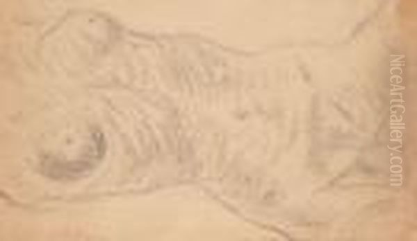 Buste De Femme Nue - view 1
