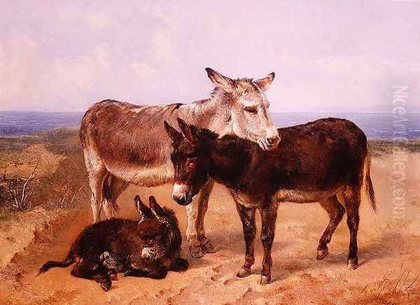 Sand Asses - view 1
