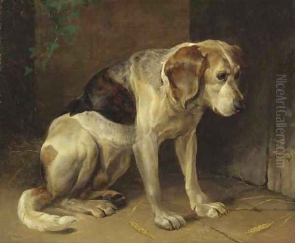 A hound - view 1