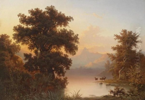 Mountain Lake In The Evening Light - view 1