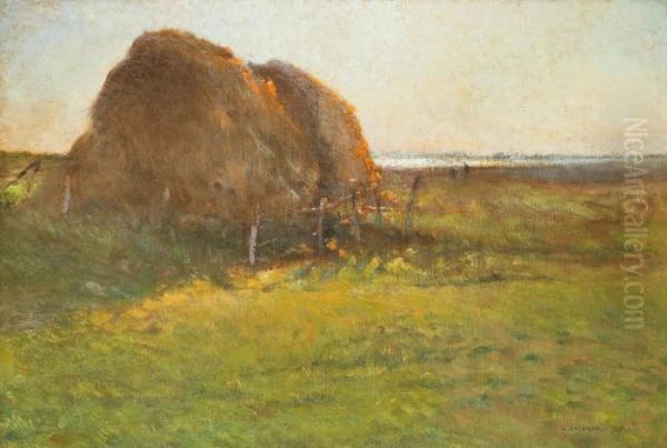 Hovolmar - view 1