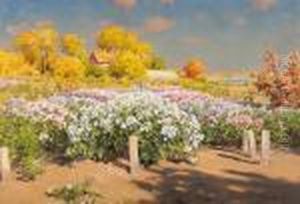 Hostlandskap Med Blommande Floxfalt Hostlandskap Med Blommande Floxfalt
