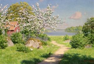 Sommarlandskap Sommarlandskap