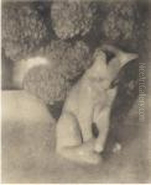 Nature-morte - view 1