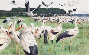 White Stork by Wilhelm Kuhnert