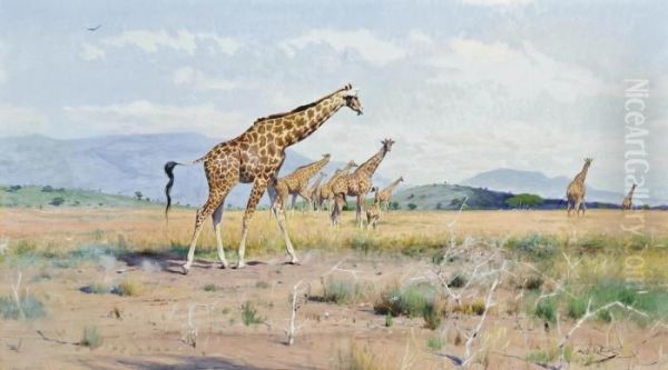 Giraffes - view 1