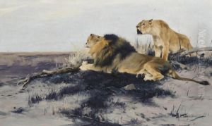 Roaring Lions by Wilhelm Kuhnert