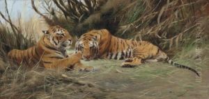 Tigers At Dawn