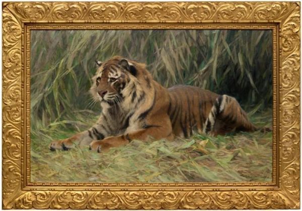 Tiger Im Dschungel - view 1