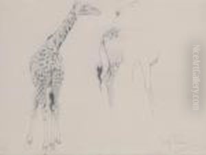 A Study Of Two Giraffes by Wilhelm Kuhnert