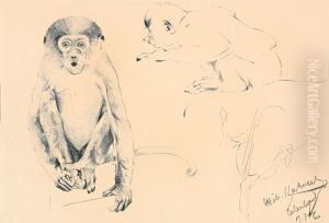 Sitzender Affe by Wilhelm Kuhnert