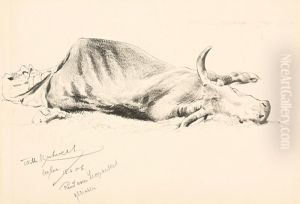 Rind Vom Leoparden Gerissen by Wilhelm Kuhnert