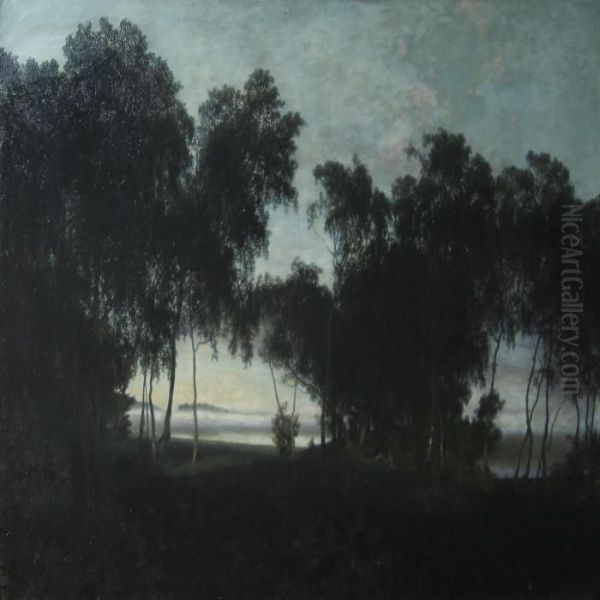 Morning Mist In The Forest Edge - view 1