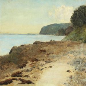 Strandparti, Aarhusbugten