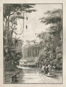 Grajau River, Maranhao, Brazil, frontispiece to Volume I of Three Thousand Miles through Brazil by James William Wells