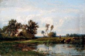 Vaches S'abreuvant Dans Un Etang