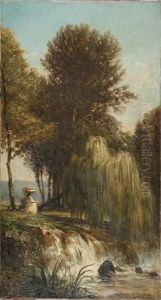 Cascade Sous Les Arbres