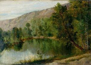 Paysage Au Lac