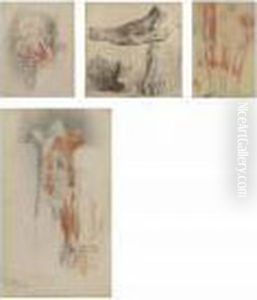 A Group Of Fourteen Ecorche Human Figure Studies