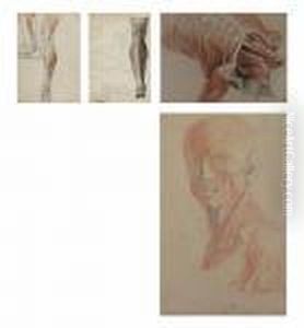 A Group Of Fourteen Ecorche Human Figure Studies by Charles Landseer