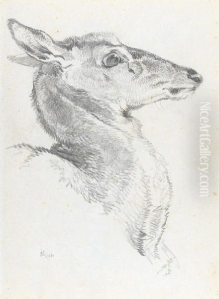 Head Of A Deer For The Chevy Chase - view 1