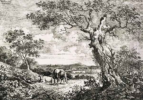 Two cows in a field - view 1