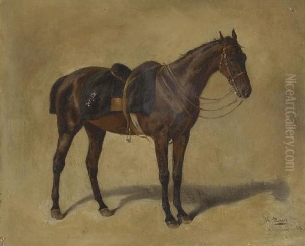 Gesatteltes Pferd - view 1