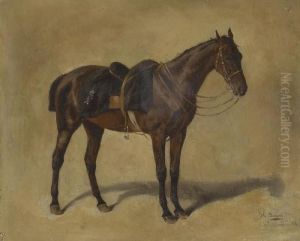Gesatteltes Pferd