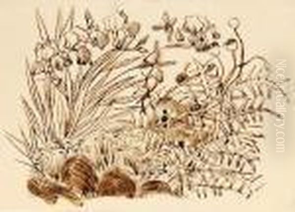 Lange, Klatschmohn Und Iris - view 1