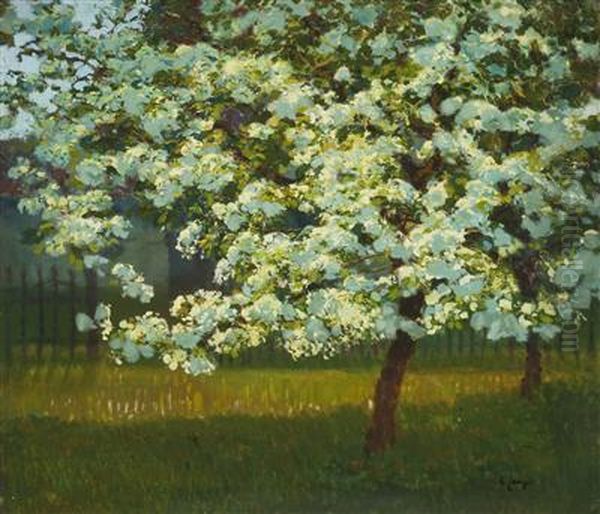 An Orchard In Blossom - view 1