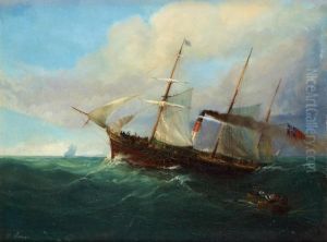 Steamboat In Distress