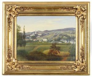 Blick Auf Einen Markt