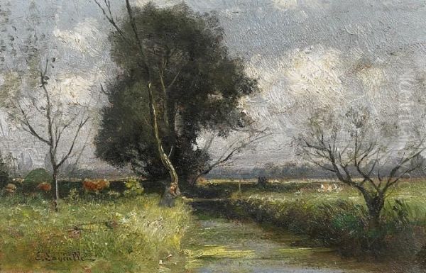Brook Landscape In The Summer - view 1