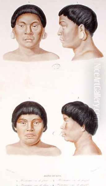 Anthropometric study of two Botocudos indians, engraved by Fournier, mid 19th century - view 1