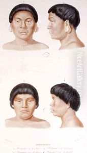 Anthropometric study of two Botocudos indians, engraved by Fournier, mid 19th century by Werner