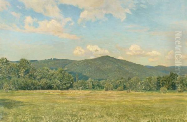 Landscape In Ramsay - view 1