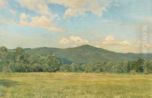Landscape In Ramsay