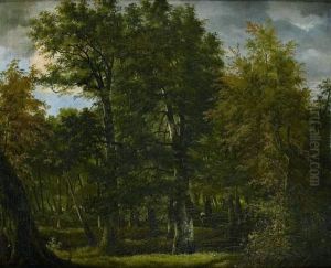 Sous-bois Au Portefaix