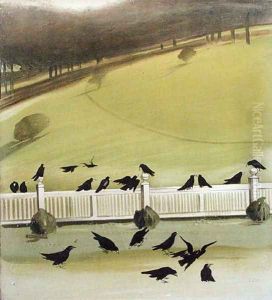 Rooks feeding in a park Rooks feeding in a park