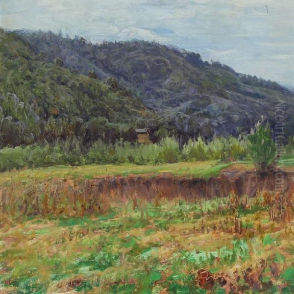 Landscape - view 1
