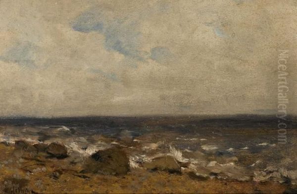 Rocky Shore - view 1