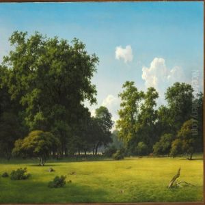 Plain With Deer Near Oresund